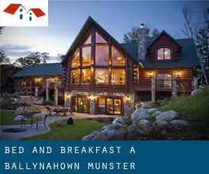 Bed and Breakfast a Ballynahown (Munster)