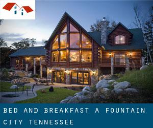 Bed and Breakfast a Fountain City (Tennessee)